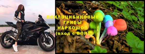 первитин Богородск