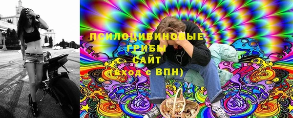 первитин Богородск